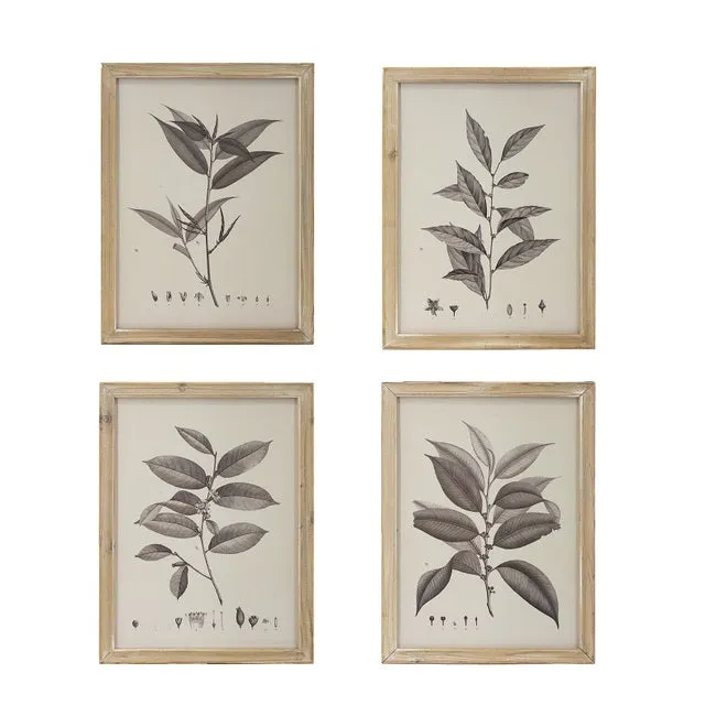 Botanical Wall Décor set of 4 Frames 40x53cm each