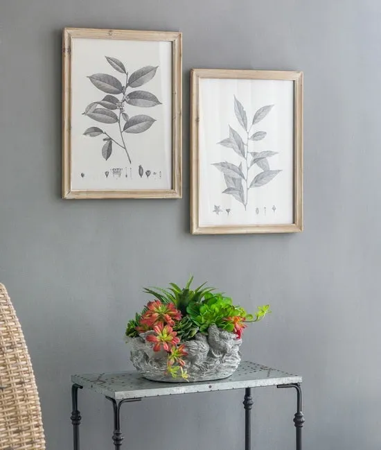 Botanical Wall Décor set of 4 Frames 40x53cm each